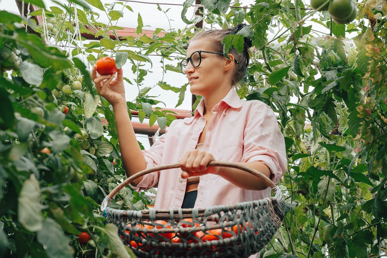 Ist Bio gesünder als konventionelle Lebensmittel